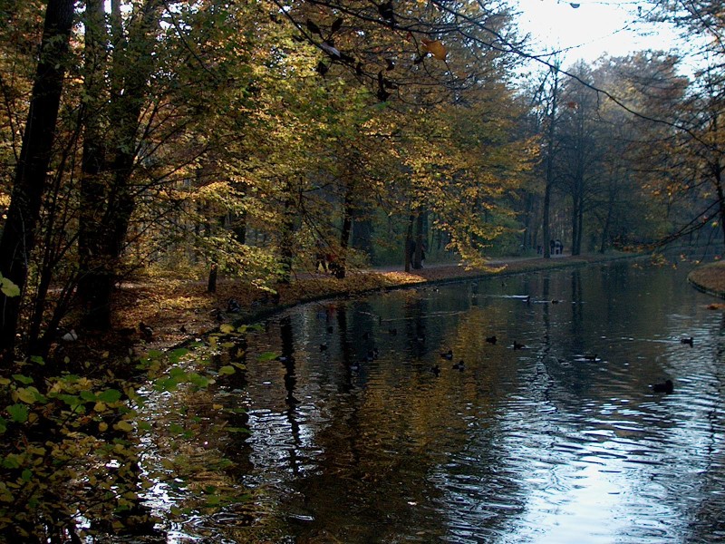 Nyphenburger Park 040 